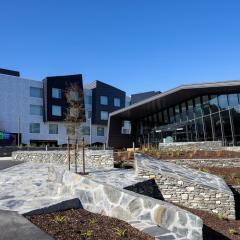 Holiday Inn Express & Suites Queenstown by IHG