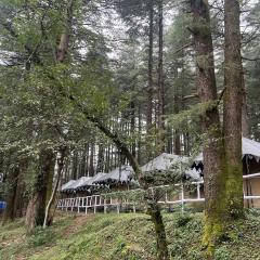 Himtrek Camps Mcleodganj