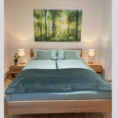 Hecht Ferienvermietung - Fewo Turmfalke 2-Zimmer-Appartement mit Sauna und Schwimmbad