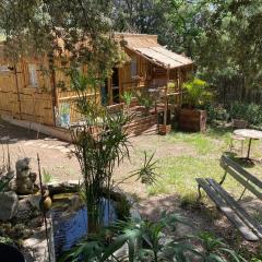 Cabane bambou