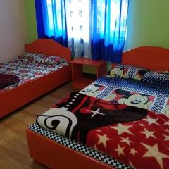Pine Valley Homestay