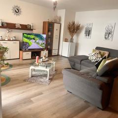 Monthey appartement
