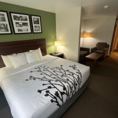Sleep Inn & Suites Conference Center Eau Claire North