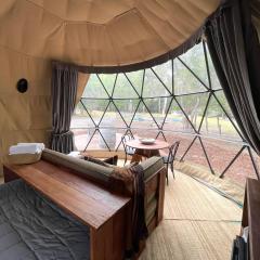 BIG4 Yarra Valley Park Lane Holiday Park