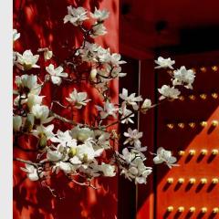 Hotel Cote Cour Deductive Beijing - Quadrangle close to Tiananmen Square & Forbidden City & Nanluoguxiang, Walk to Wangfujing, English speaking, Free WiFi, Free Laundry, Free Wonton & Noodles with Tour ticket service, Free selfies with ancient costume