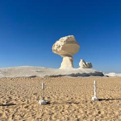 White Desert Safari With Camping