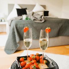 Penthouse am Dom- Altstadt in 200 m- 4 Dachterrassen, stilvoll und ruhig-Self Check-6 Personen