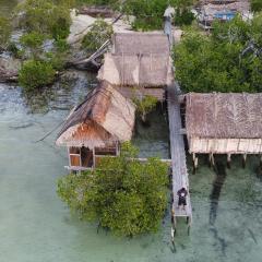 Sea Whip Raja Ampat