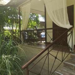 Bamboo garden