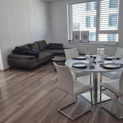 Prudy Apartment pre 4 ludi