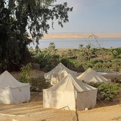 Tunis Camp Fayoum