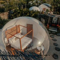 Green Land Bubble Glamping By Mint