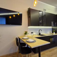 Räpina Studio Apartment
