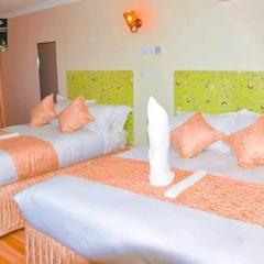 Forest View Resort
