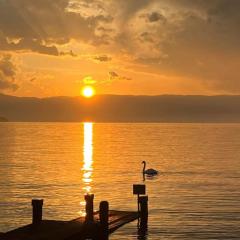 Les bord du Lac Leman