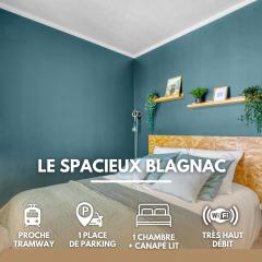 Spacious Apartment Blagnac Parking-Tram-Airport