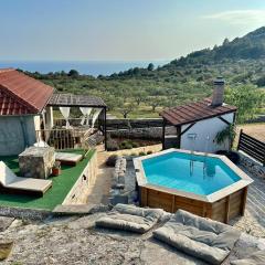 Olive house Rezo