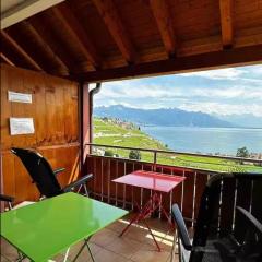 Lavaux nice place in Swiss French part