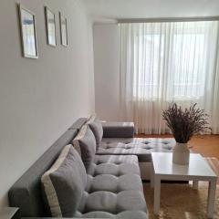Surčin Apartment