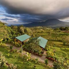 Valle Arenal