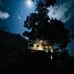 AVA tree house