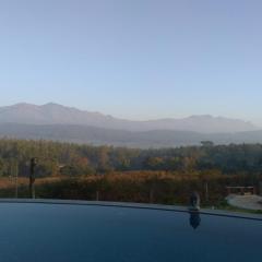 Coffeeberry Hills Chikamagalur