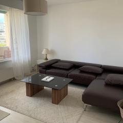 Beautiful 1-Bed Apartment near Palexpo, UN Agencies & Diplomatic Missions