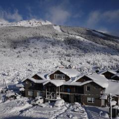 苏尔滑雪公寓酒店