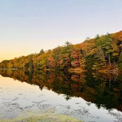 Peaceful Catskills Creek House