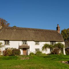 Little Lions Farm