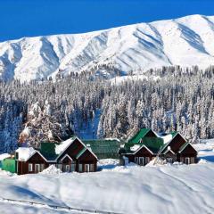 Gulmarg Woods By Stay Pattern