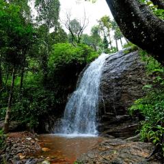 Karadikallu Homestay with Private Waterfalls