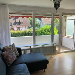 Simple Rhine view apartment