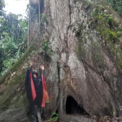 Hostal Tachiwa Curinisi Huasi