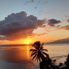 Maui Homestay Vue Océan Exceptionnelle & Baleines en Saison