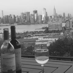 World Trade Apt 3 15 Minutes to Times Square