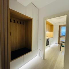 Central Apartment - Palas Mall