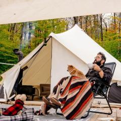 Piebald Mountain Pet Friendly Tents, Petersburg, New York