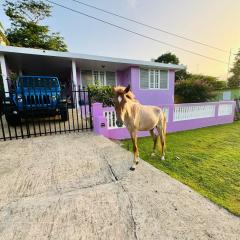 Purple Sunset - Walk to Malecon & Beaches