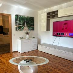 Melide lake apartment