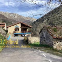 Apartamentos El Ardinal
