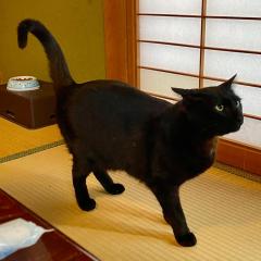 民宿とランチ大ちゃんち