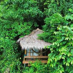 TheJungleGuide - Lodges & Treks