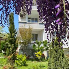 Family Hotel "May"