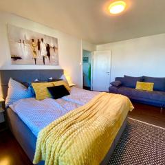 Modern Lakeview Apartment