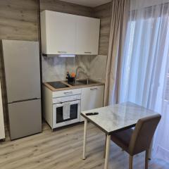 Viktor Studioapartment