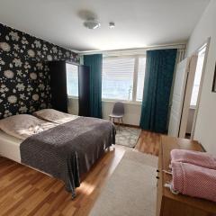 Snow Pearl Kemi City Apartment