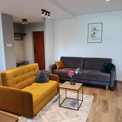 Apartament Dworska