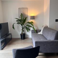 Beautiful bright renovated 2BR with a balcony- sleeps 5
