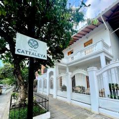 Hotel Cattaleya City